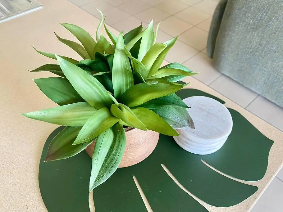 Apartment Nature Meets City On Mint Townsville Australia