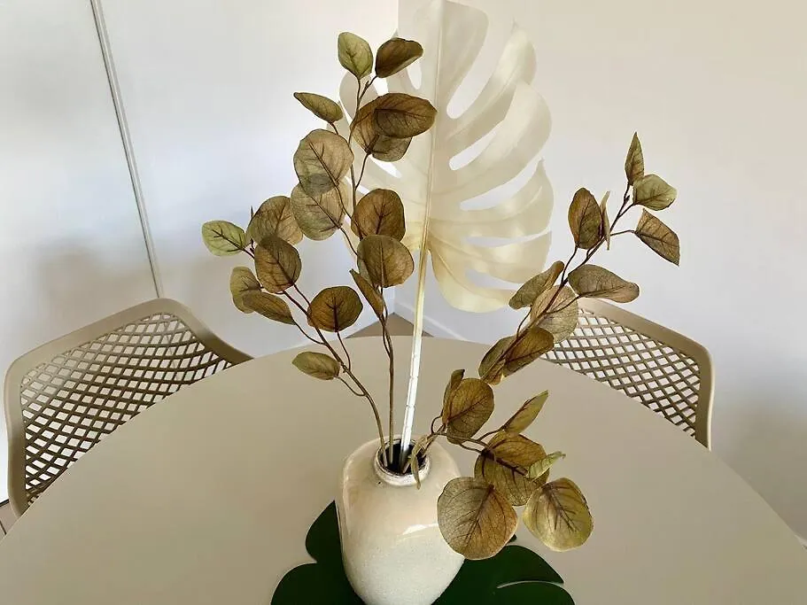 Nature Meets City On Mint Townsville 0*,